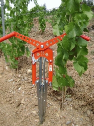 Plantoir Plavi Photo de la pince Plavi
