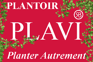 Plavi, une marque déposée Slogan Plavi